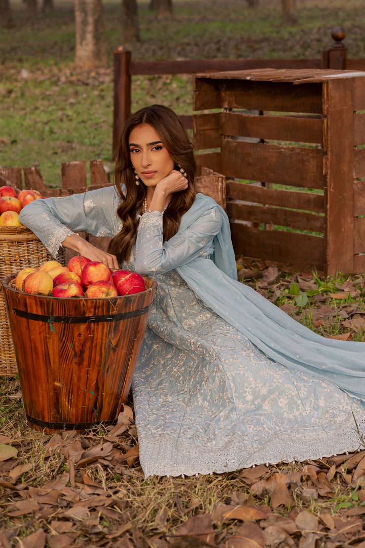 Nur Ray 3Pc - Festive Embroidered Lawn