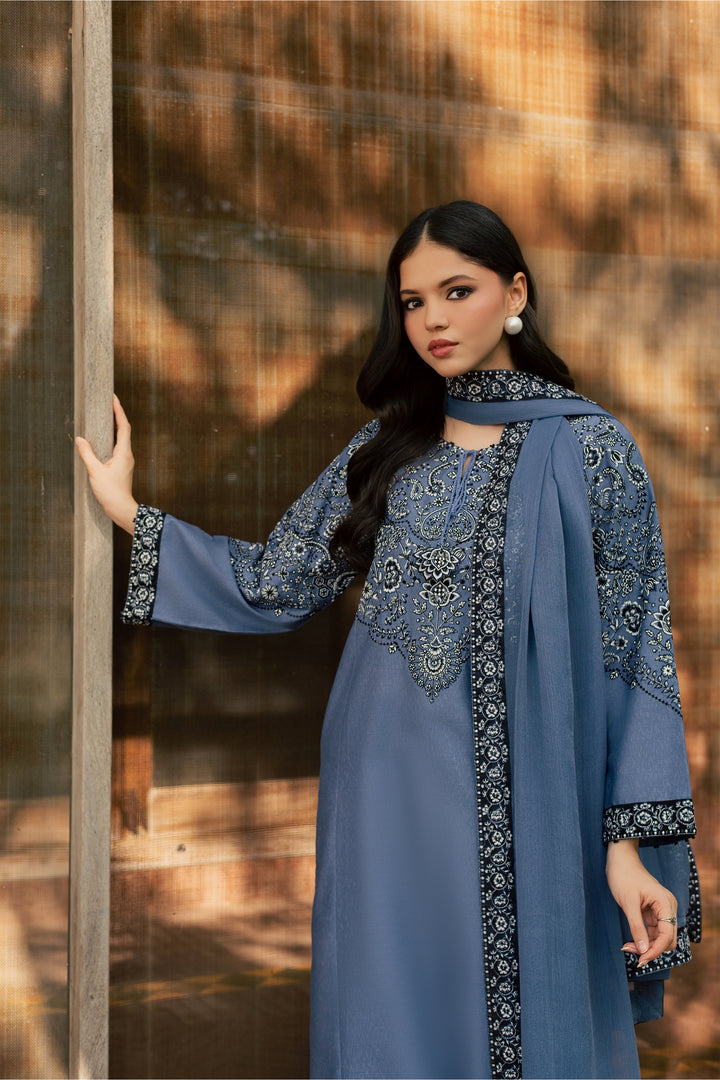 Sozni 3Pc - Embroidered Karandi Pret