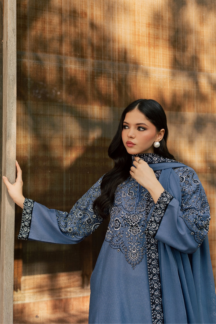 Sozni 3Pc - Embroidered Karandi Pret