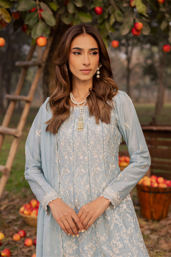 Nur Ray 3Pc - Festive Embroidered Lawn