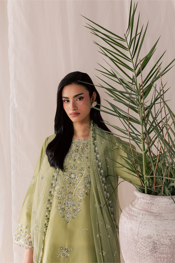 Olive Vasl 3Pc - Luxury Embroidered Lawn