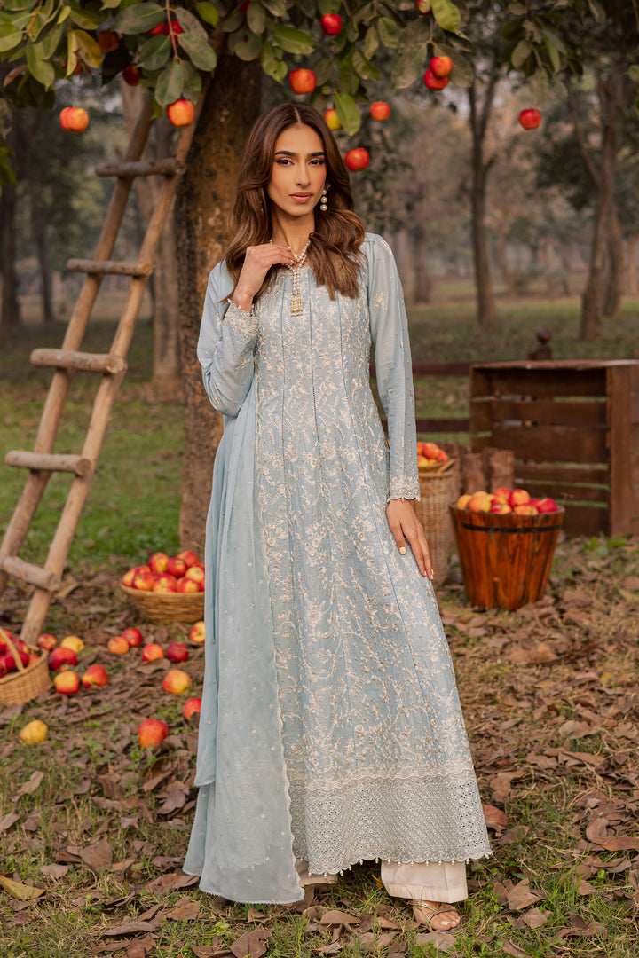 Nur Ray 3Pc - Festive Embroidered Lawn