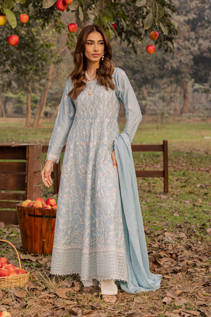 Nur Ray 3Pc - Festive Embroidered Lawn