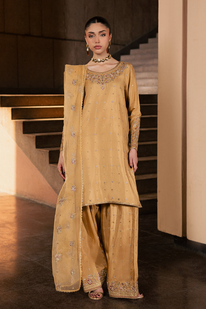 Arzoo 3Pc - Festive Luxe Pret