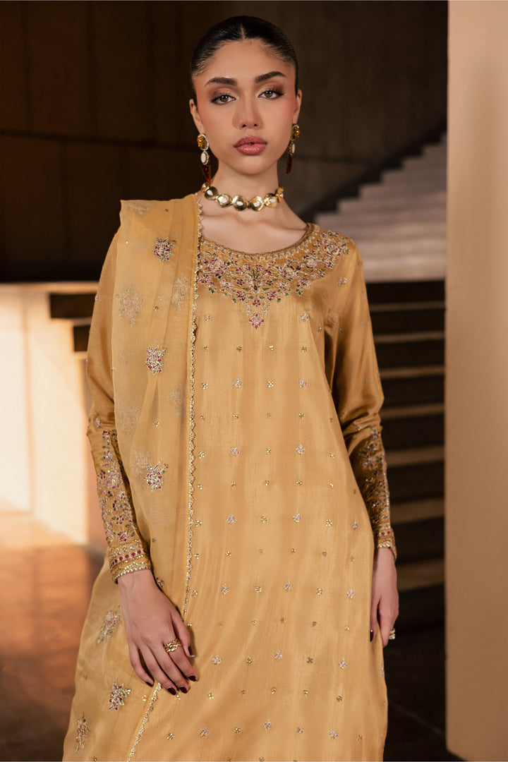 Arzoo 3Pc - Festive Luxe Pret