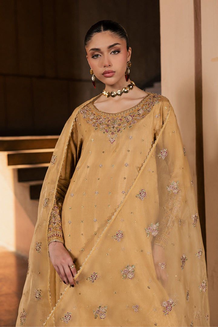 Arzoo 3Pc - Festive Luxe Pret