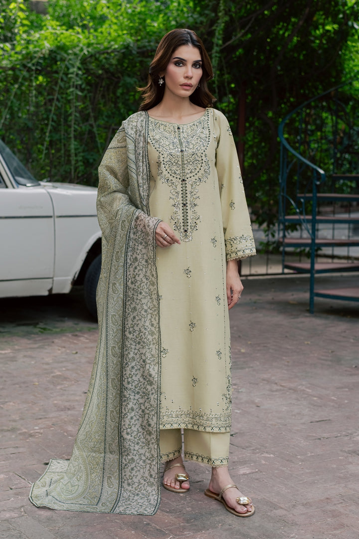 Green Obsidian 3Pc - Embroidered Khaddar Pret