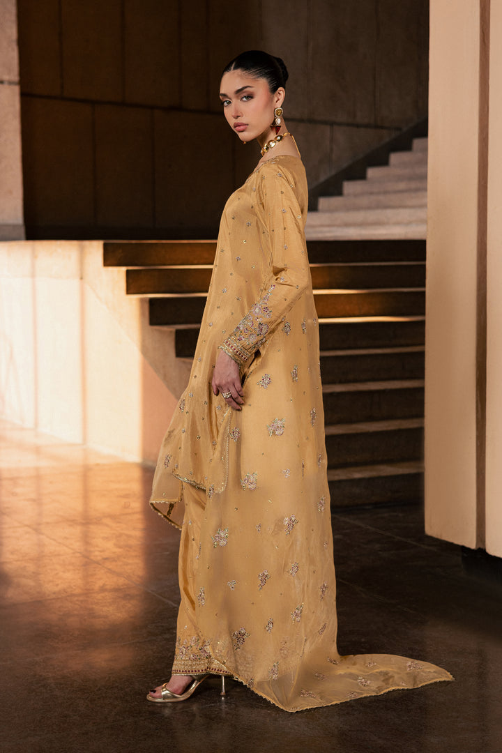 Arzoo 3Pc - Festive Luxe Pret