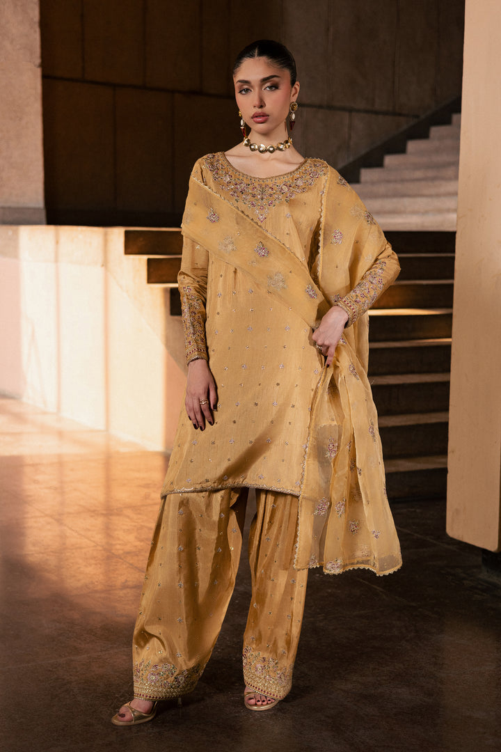 Arzoo 3Pc - Festive Luxe Pret