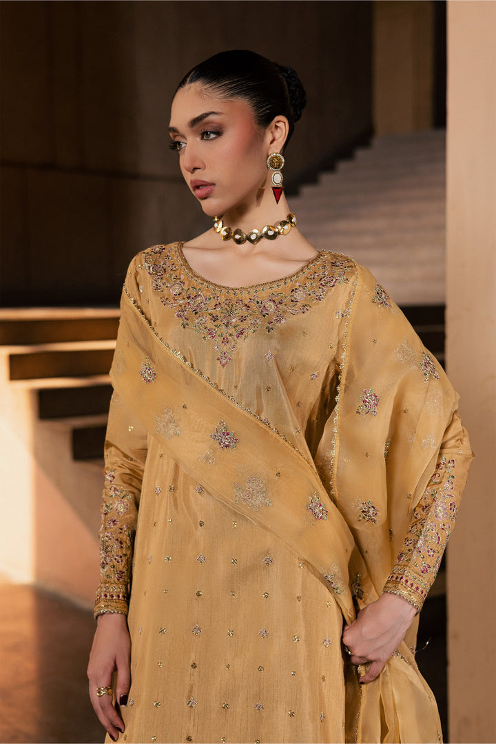 Arzoo 3Pc - Festive Luxe Pret
