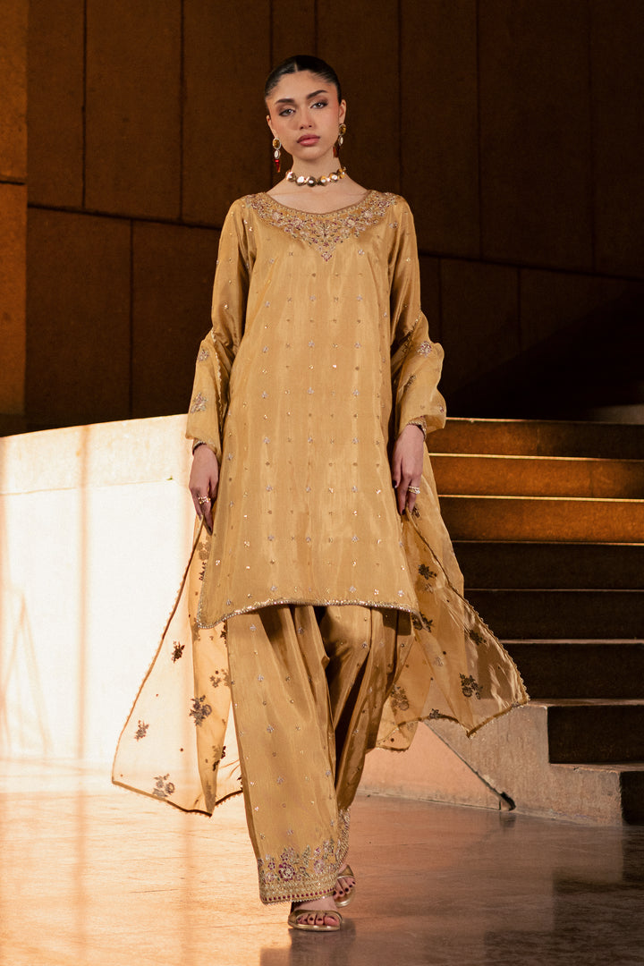 Arzoo 3Pc - Festive Luxe Pret