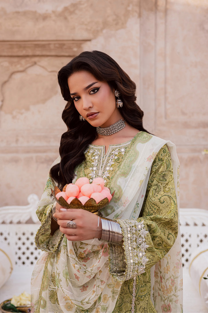 Solan 3Pc - Festive Eid Prints