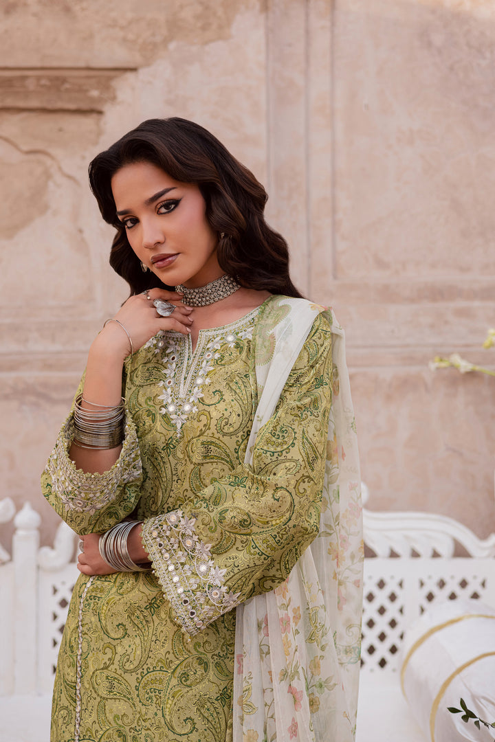 Solan 3Pc - Festive Eid Prints