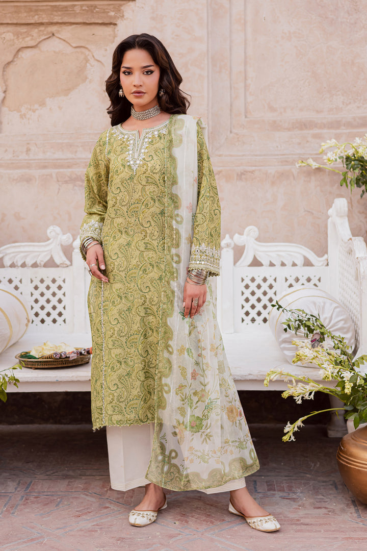 Solan 3Pc - Festive Eid Prints