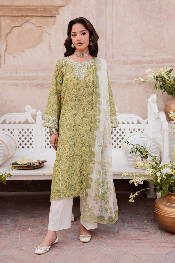 Solan 3Pc - Festive Eid Prints