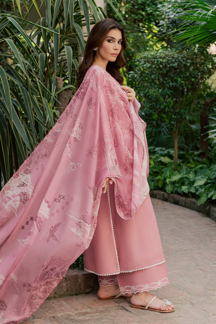 Dove Glove 3Pc - Embroidered Khaddar Pret