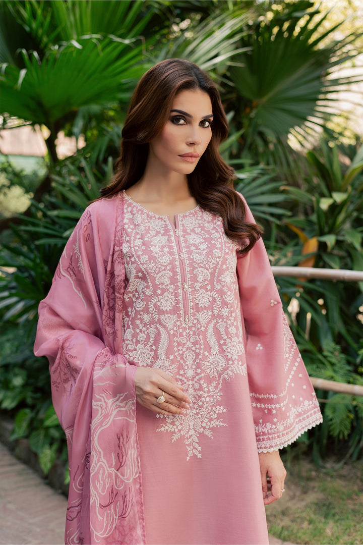 Dove Glove 3Pc - Embroidered Khaddar Pret