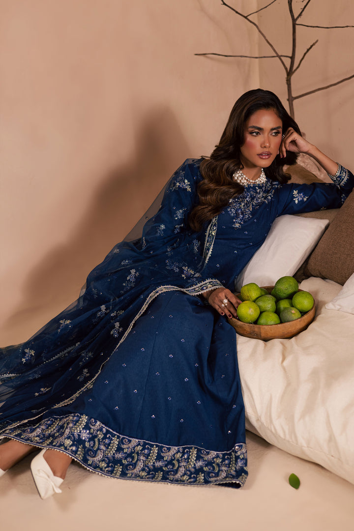 Blue Wester 3Pc - Embroidered Khaddar Dress